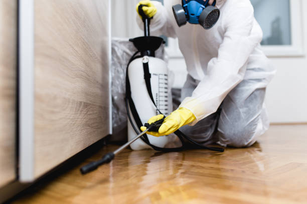 Professional Pest Control in Albertville, AL