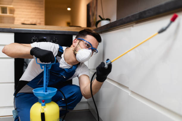 Best Ant Control Services  in Bertville, AL
