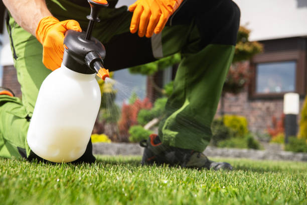 Best Mosquito Control Services  in Bertville, AL