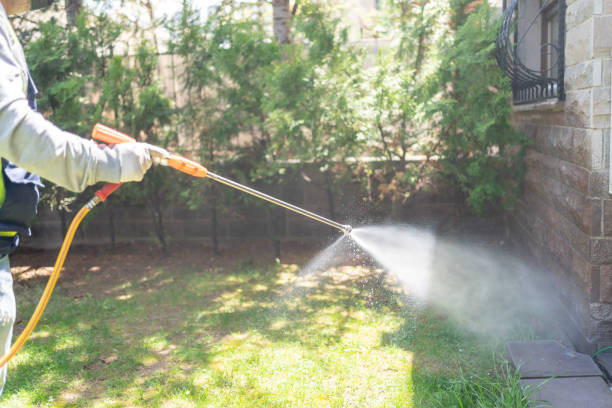 Best Emergency Pest Control  in Bertville, AL