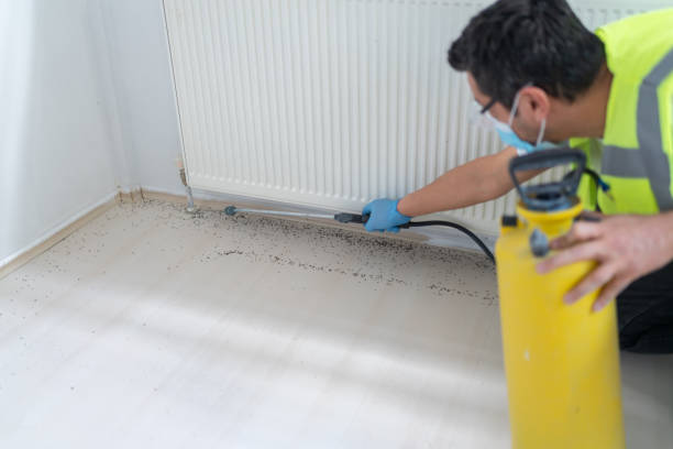 Best Affordable Pest Control Services  in Bertville, AL