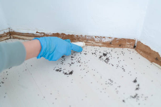 Best Commercial Pest Control Services  in Bertville, AL
